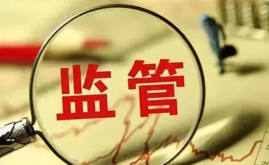 關(guān)于印發(fā)《外國政府貸款項目監(jiān)督檢查辦法》的通知